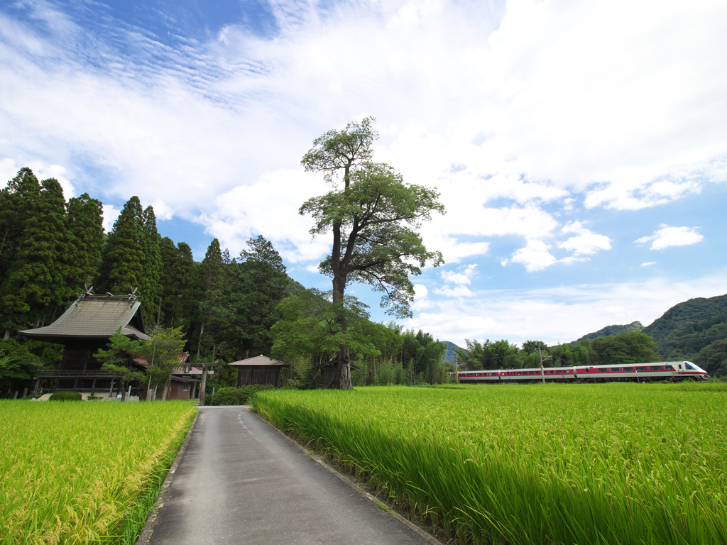 令和に残る郷土の社、パノラマ越しにはどう見えた？