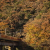 黄葉隧道より