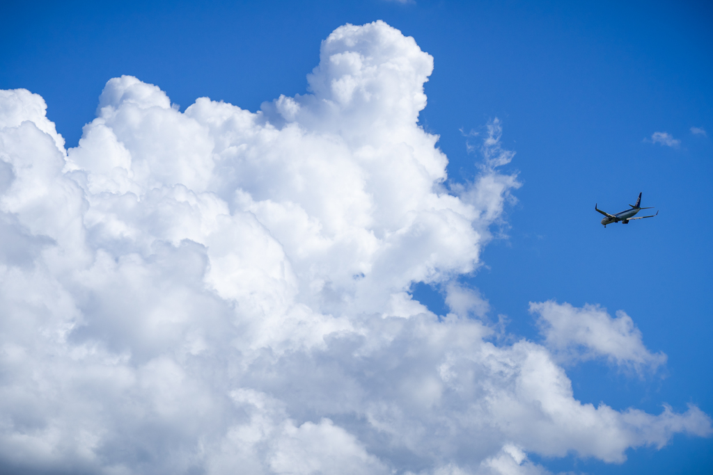 大きな夏雲に挑む