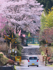 名もなき道の向こうにある春を見に行こう