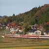 石州瓦の家々と