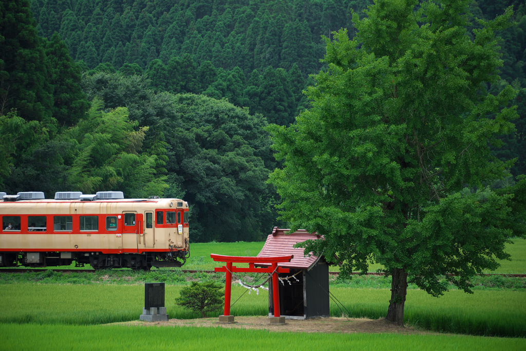 いつもの小祠、いつもの汽車