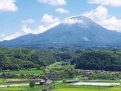 盛夏に染まる大山に見守られ