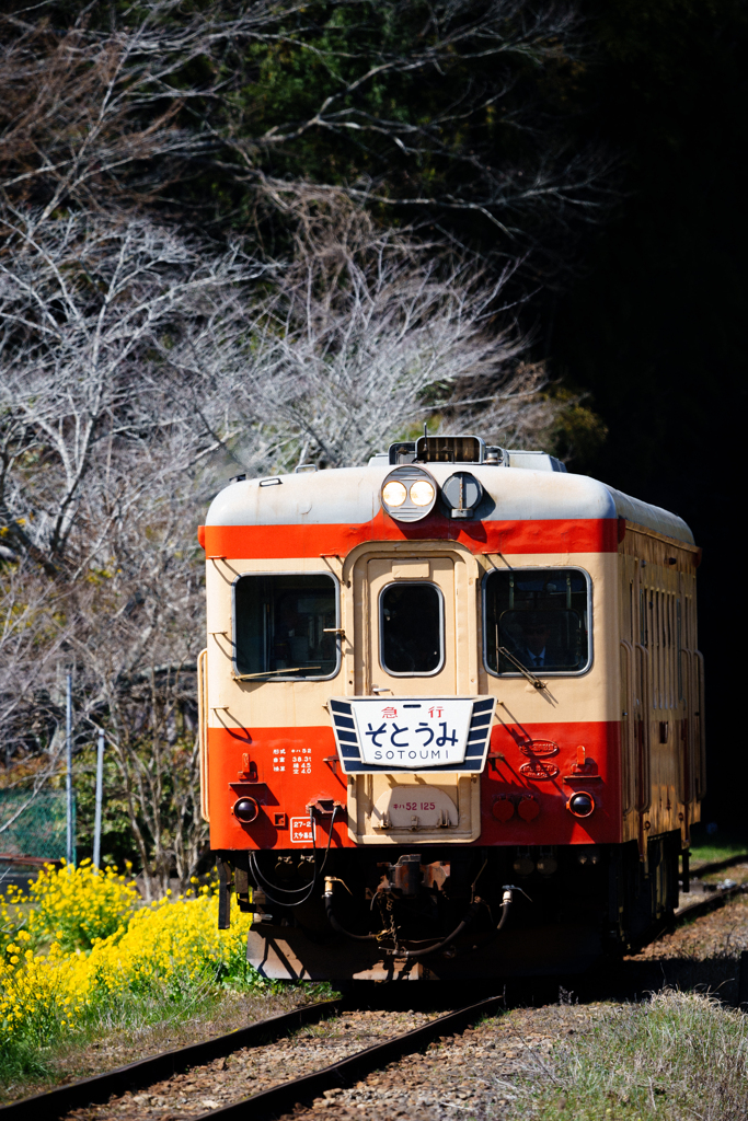 早春とキハ52の定期運行終了②