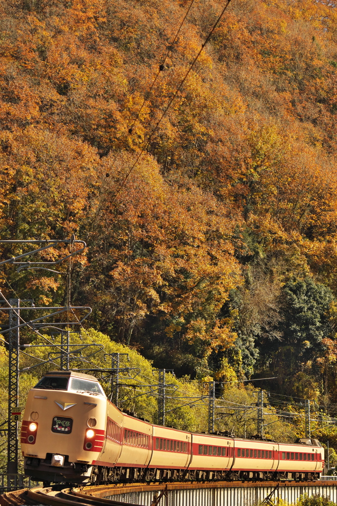 見上げれば満天の山吹