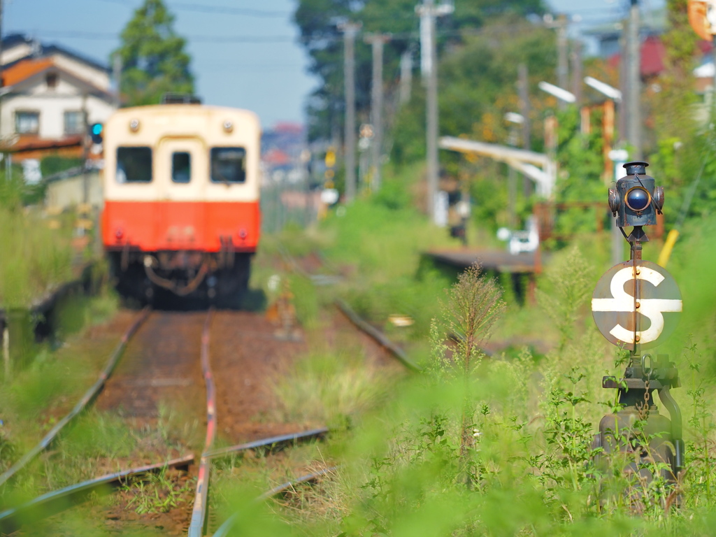 草木にも負けない線路脇の立役者Ⅱ