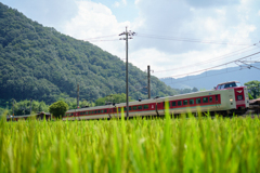 ここは昭和98年の夏