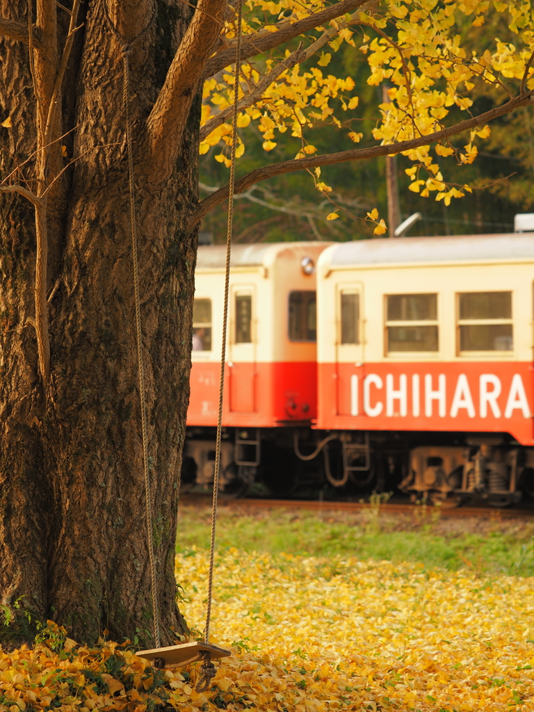 秋色に囲まれたブランコは小湊線を見学できる特等席