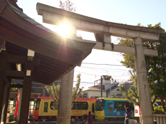 下町鎮守と都電風景