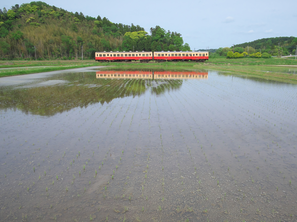 晩春の頃、キハによる水鏡にてのデュエット