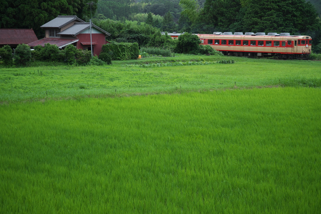 いつも見ていた汽車風景は、残り僅かの汽車風景