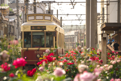 終着駅のクロレ