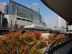 鮮やか 「有楽町駅」