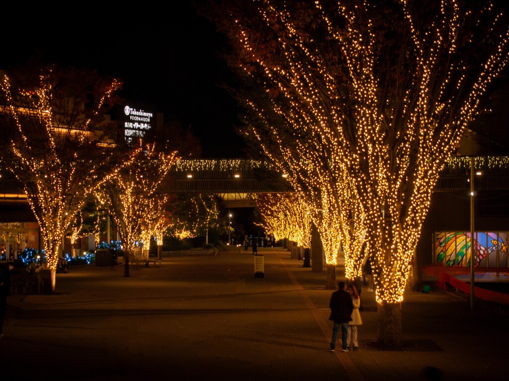 流山おおたかの森 