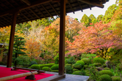 湖東三山　金剛輪寺　庭園