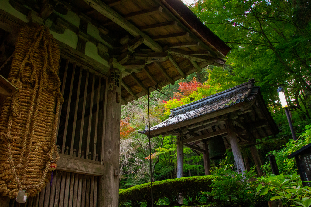 湖東三山　金剛輪寺