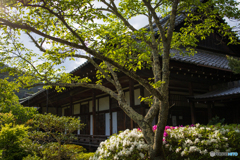 京都山科毘沙門堂