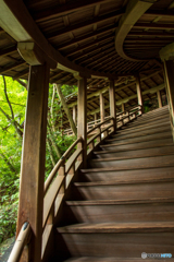 永観堂　臥龍廊