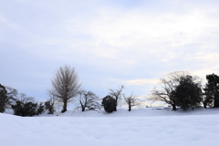 雪景色