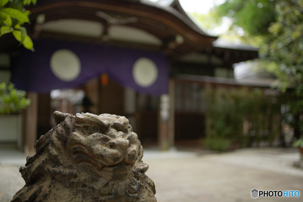 京都　下鴨神社