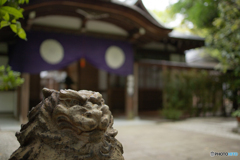 京都　下鴨神社