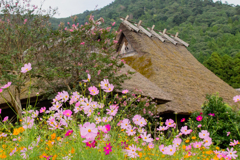 京都美山　かやぶきの里