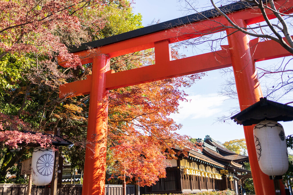 下鴨神社
