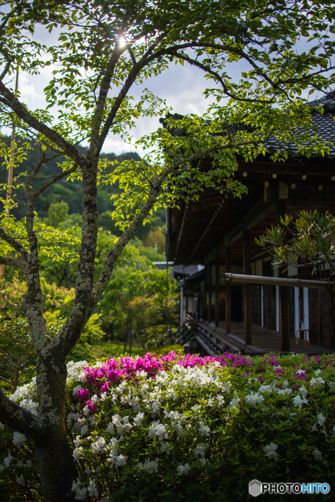 京都山科毘沙門堂