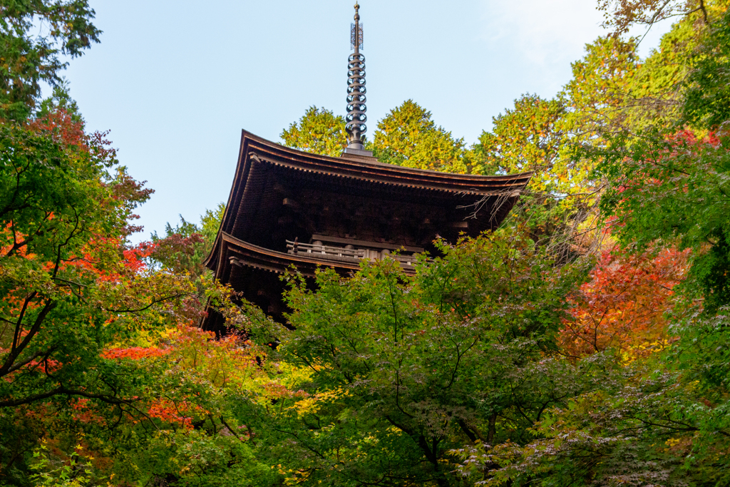 湖東三山　金剛輪寺　三重塔