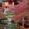 京都　醍醐寺