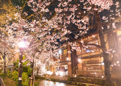 華やぐ夜
