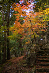 小径の紅葉