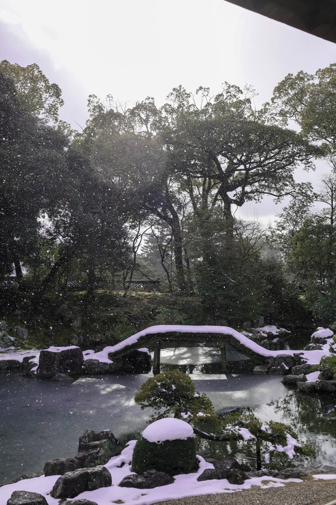 雪舞う庭