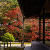 天授庵の紅葉
