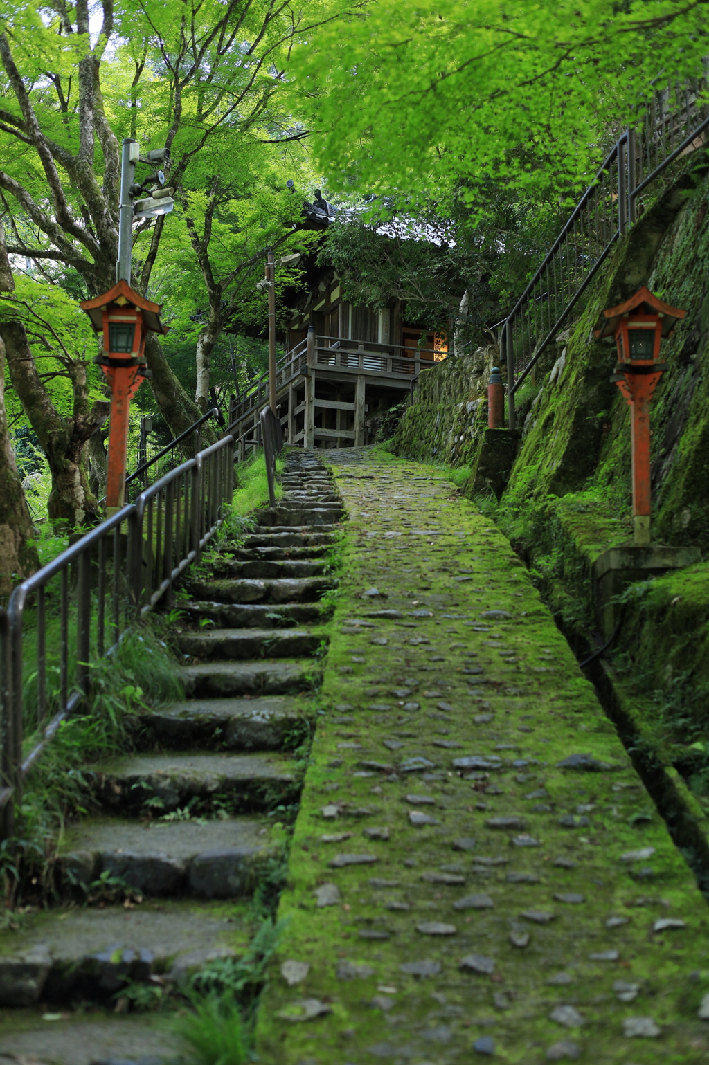 京都　愛宕念仏寺にて