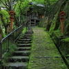 京都　愛宕念仏寺にて