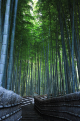 京都　化野念仏寺にて