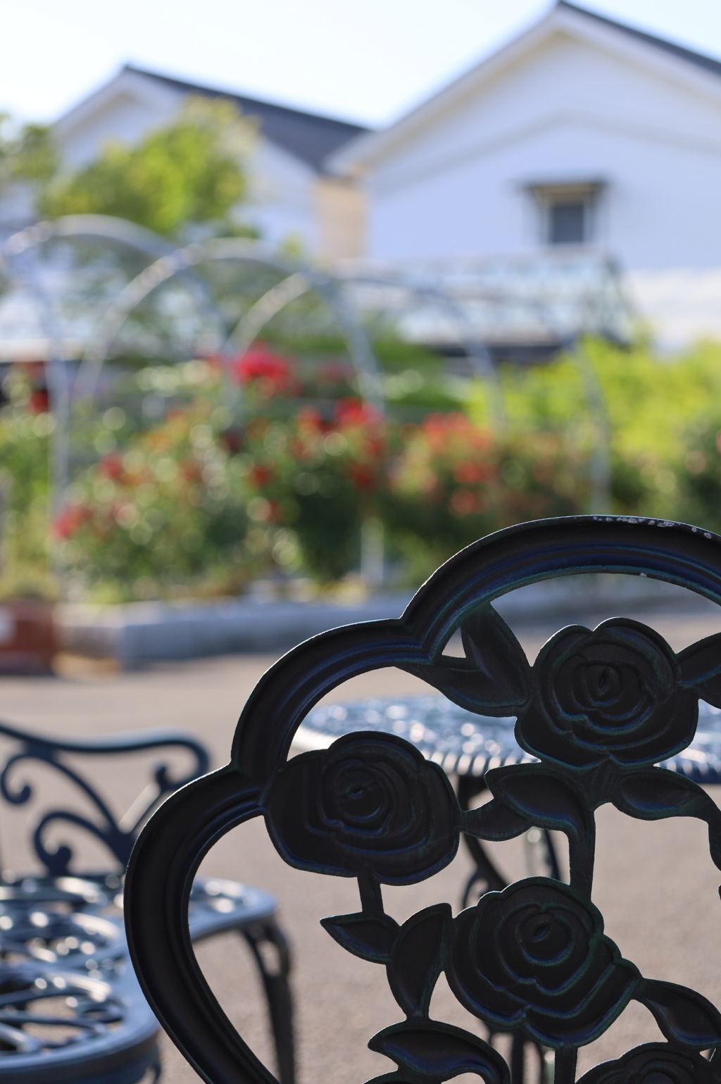 ベンチも薔薇！