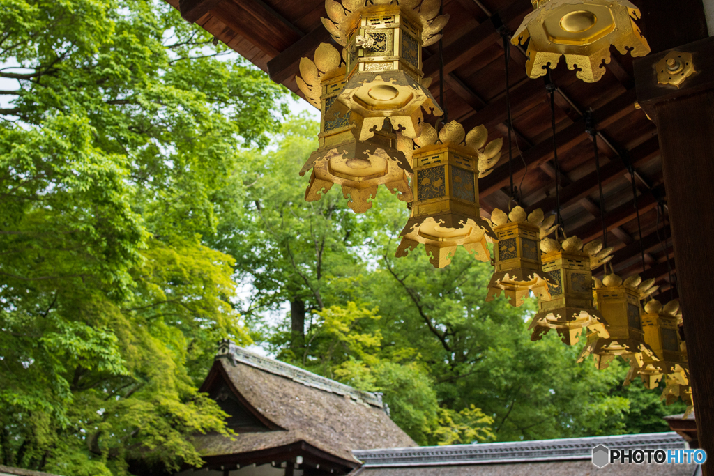 京都　河合神社