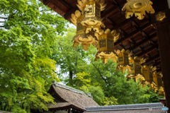 京都　河合神社