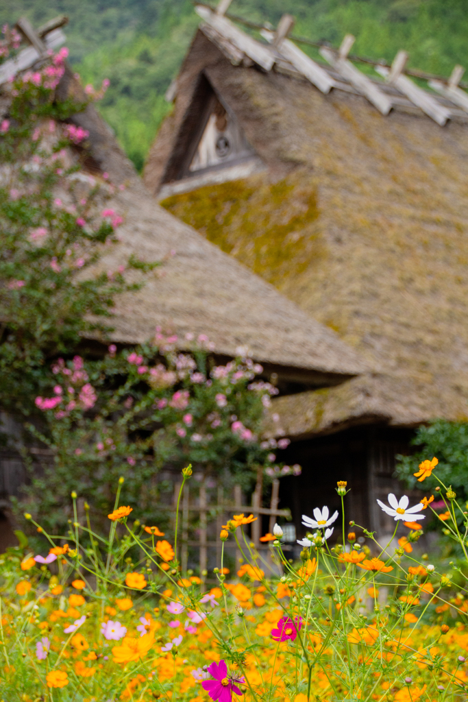 京都美山　かやぶきの里
