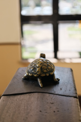 ③ウサギとカメ。やった!