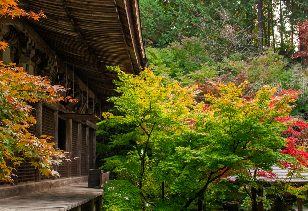 湖東三山　金剛輪寺