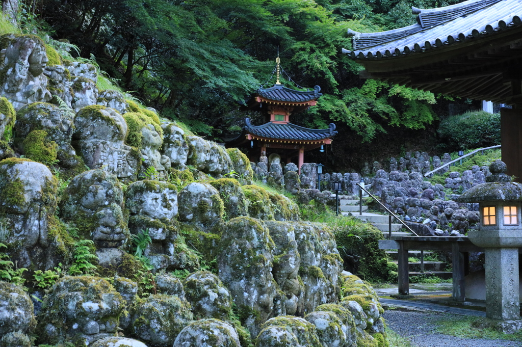 癒しの京都　愛宕念仏寺にて