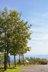 ガーデンミュージアム比叡