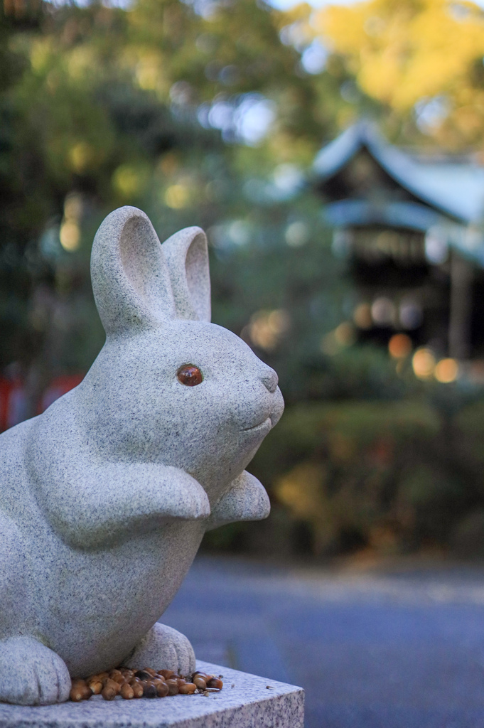 岡崎神社の狛うさぎさん