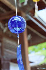 西教寺　風鈴参道