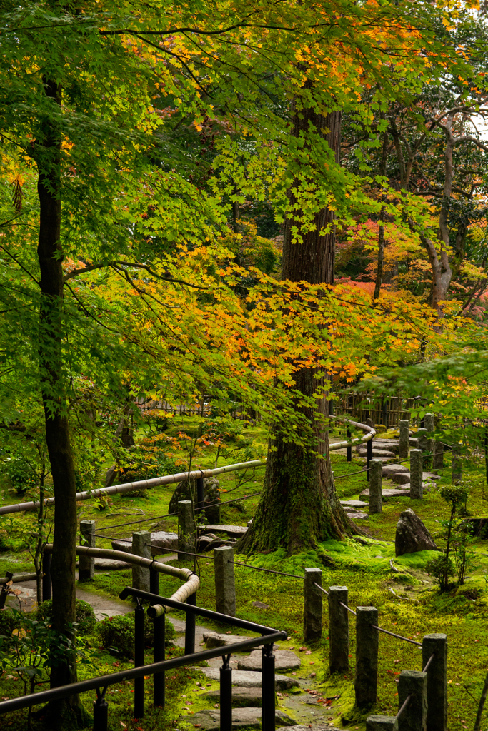 湖東三山　西明寺　庭園