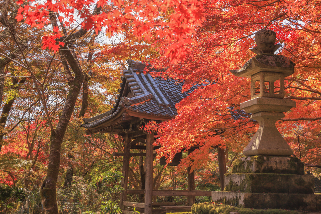 紅葉寺