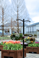 水生植物公園にて